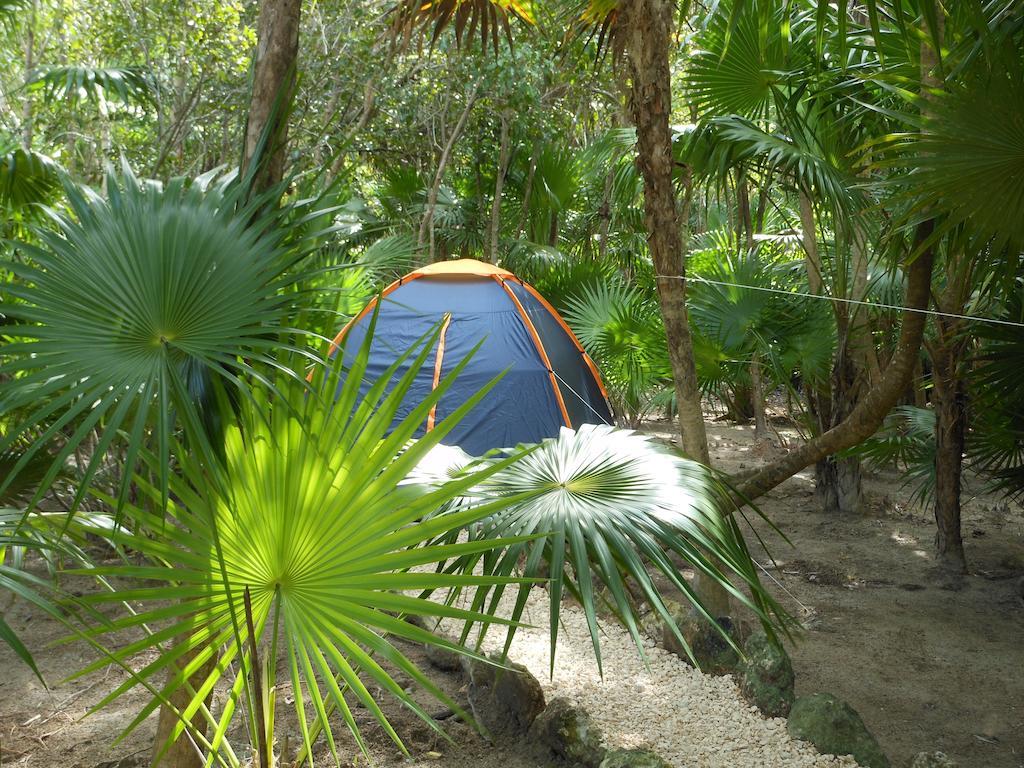 מלון Turquesa Tulum Jungle Camping מראה חיצוני תמונה