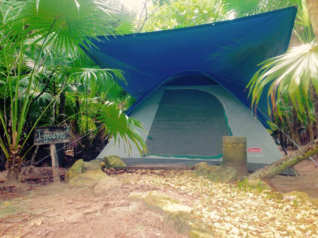 מלון Turquesa Tulum Jungle Camping מראה חיצוני תמונה